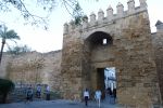 PICTURES/Cordoba - The Alcazar/t_Alcázar 2.JPG